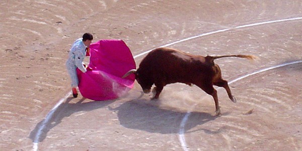 Bull_attacks_matador-600x300